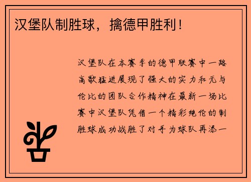 汉堡队制胜球，擒德甲胜利！
