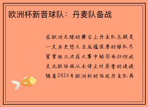 欧洲杯新晋球队：丹麦队备战