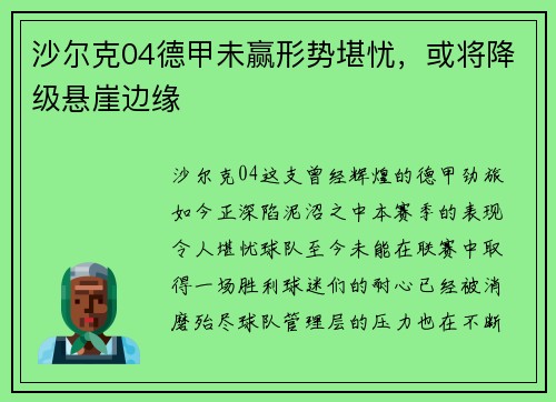 沙尔克04德甲未赢形势堪忧，或将降级悬崖边缘