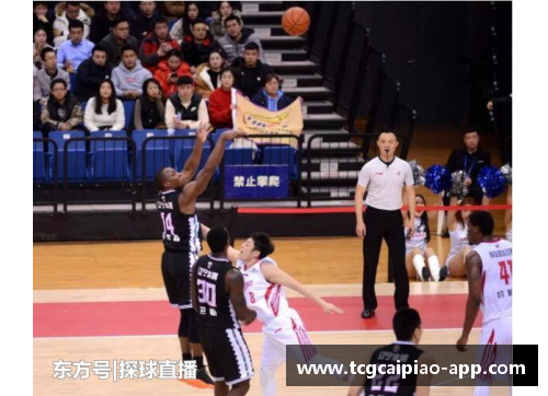 tcg彩票辽宁男篮的荣耀之路：CBA常规赛十连胜背后的故事