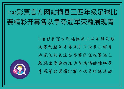 tcg彩票官方网站梅县三四年级足球比赛精彩开幕各队争夺冠军荣耀展现青春风采
